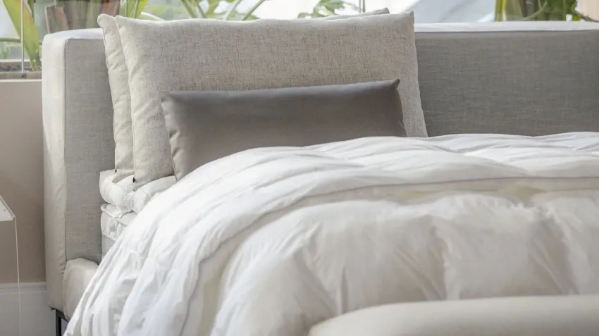 Cama Torus