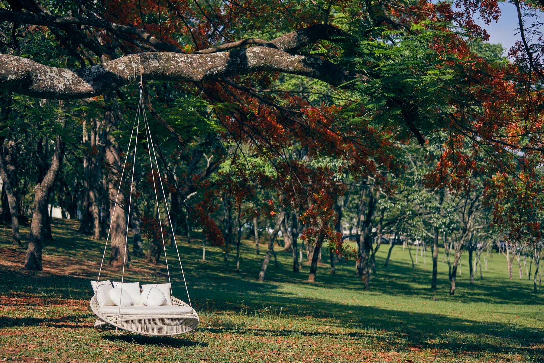 Chaise Lazy Day